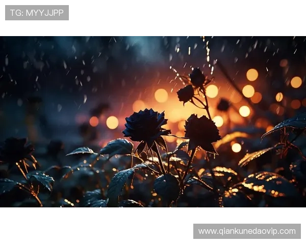 暗夜绽放，荆棘为冠：揭秘《黑玫瑰》电视剧的绝美哀歌