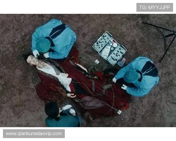 迷雾重重，人性深渊：韩国犯罪悬疑剧的极致诱惑